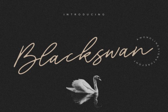 Blackswan Font Review for Handmade Brands