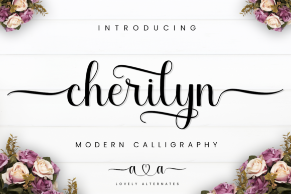 Cherilyn Font: Elevate Your Campaign Visuals