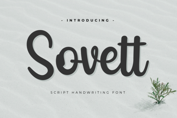 Sovett: Elegant Script Font for Web Design